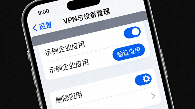 iPhone设备管理设置截图