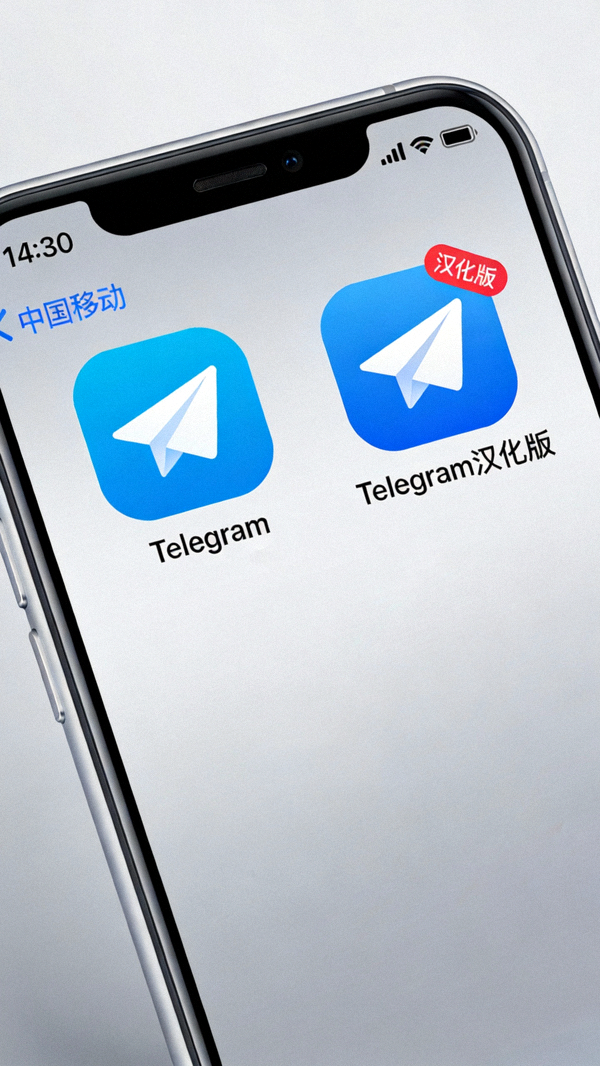 iPhone桌面截图，显示原版和汉化版两个Telegram应用图标并存