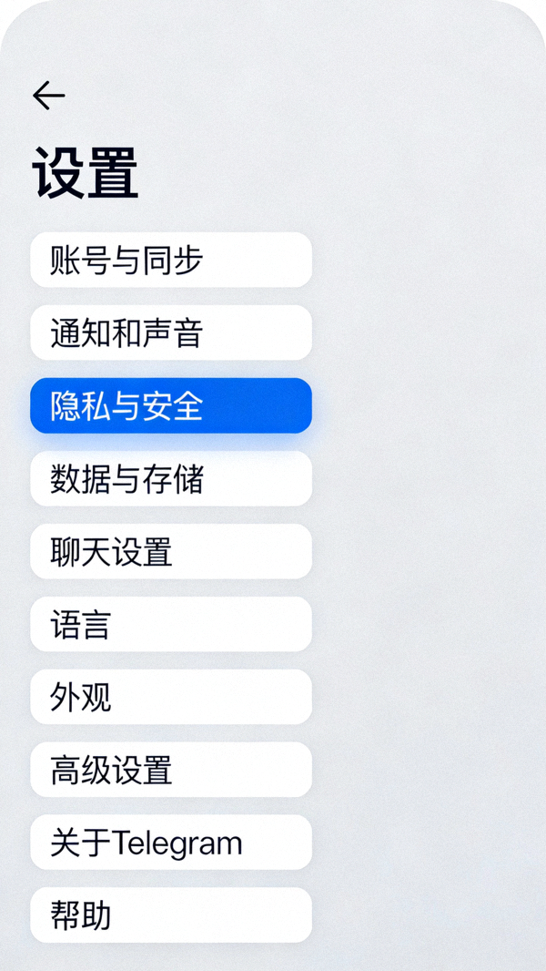 汉化成功后Telegram安卓版设置界面截图，显示全中文的选项
